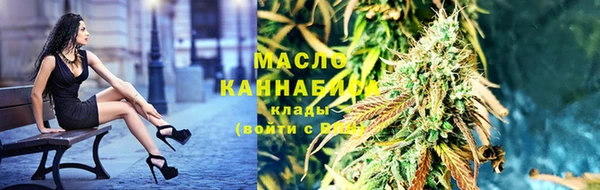 spice Богородск